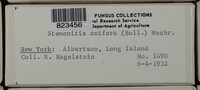 Image Associated With the Occurence